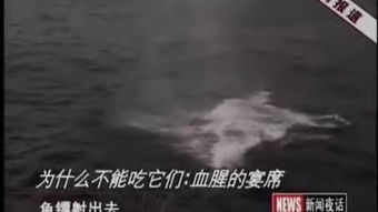 巢湖學院 學貫江淮，筑夢前行